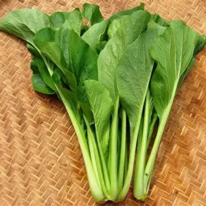 caingot1